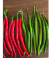 Chilli / Hot Pepper F1 GD-75 - 10 grams